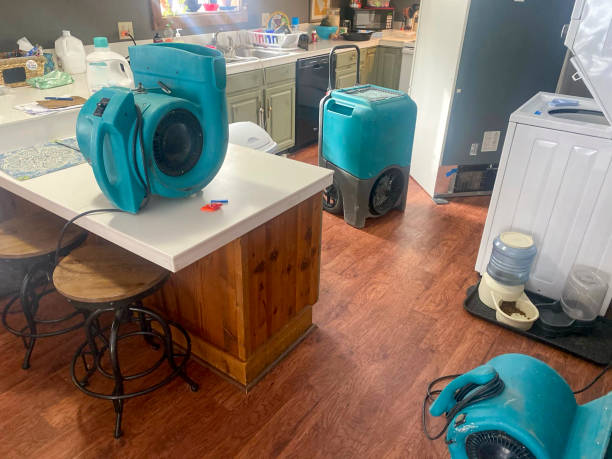 Best Professional water damage repair  in Idyllwild Pine Cove, CA