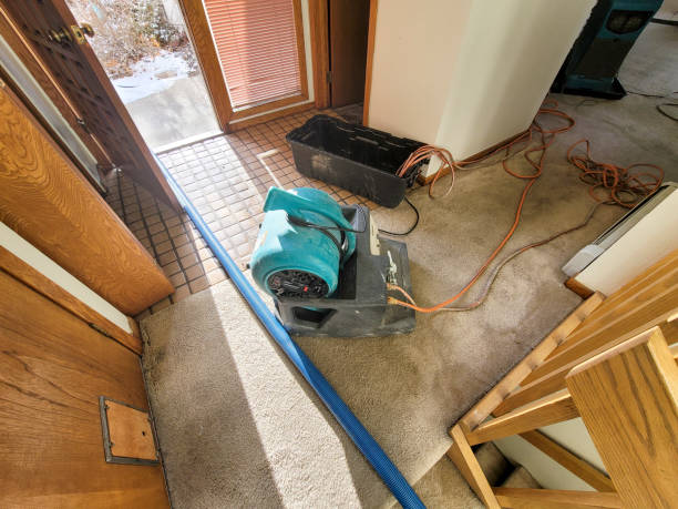 Best Ceiling water damage repair  in Idyllwild Pine Cove, CA