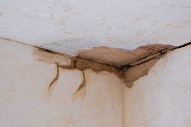 Best Sewage cleanup and water damage restoration  in Idyllwild Pine Cove, CA