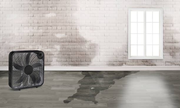 Best Commercial water damage restoration  in Idyllwild Pine Cove, CA