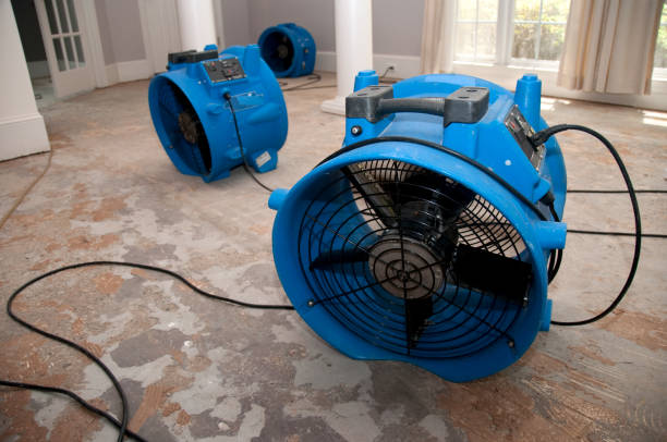 Best Water damage restoration near me  in Idyllwild Pine Cove, CA
