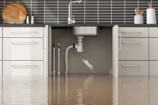 Best 24/7 water damage repair  in Idyllwild Pine Cove, CA