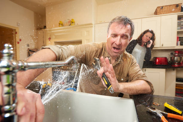 Best Mold removal after water damage  in Idyllwild Pine Cove, CA